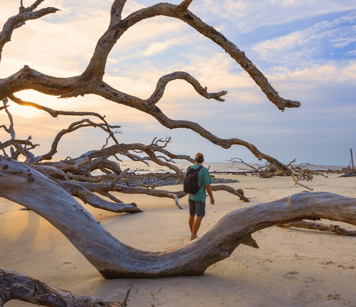 Hiker enjoying walk on the beach at sunrise. Drift wood are left behind from years of erosion. Driftwood Beach on Jekyll Island, Georgia, USA.
1340981141
driftwood beach, natural