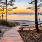 A boardwalk leading through pines to a beach at sunset in Jurmala, Latvia.
