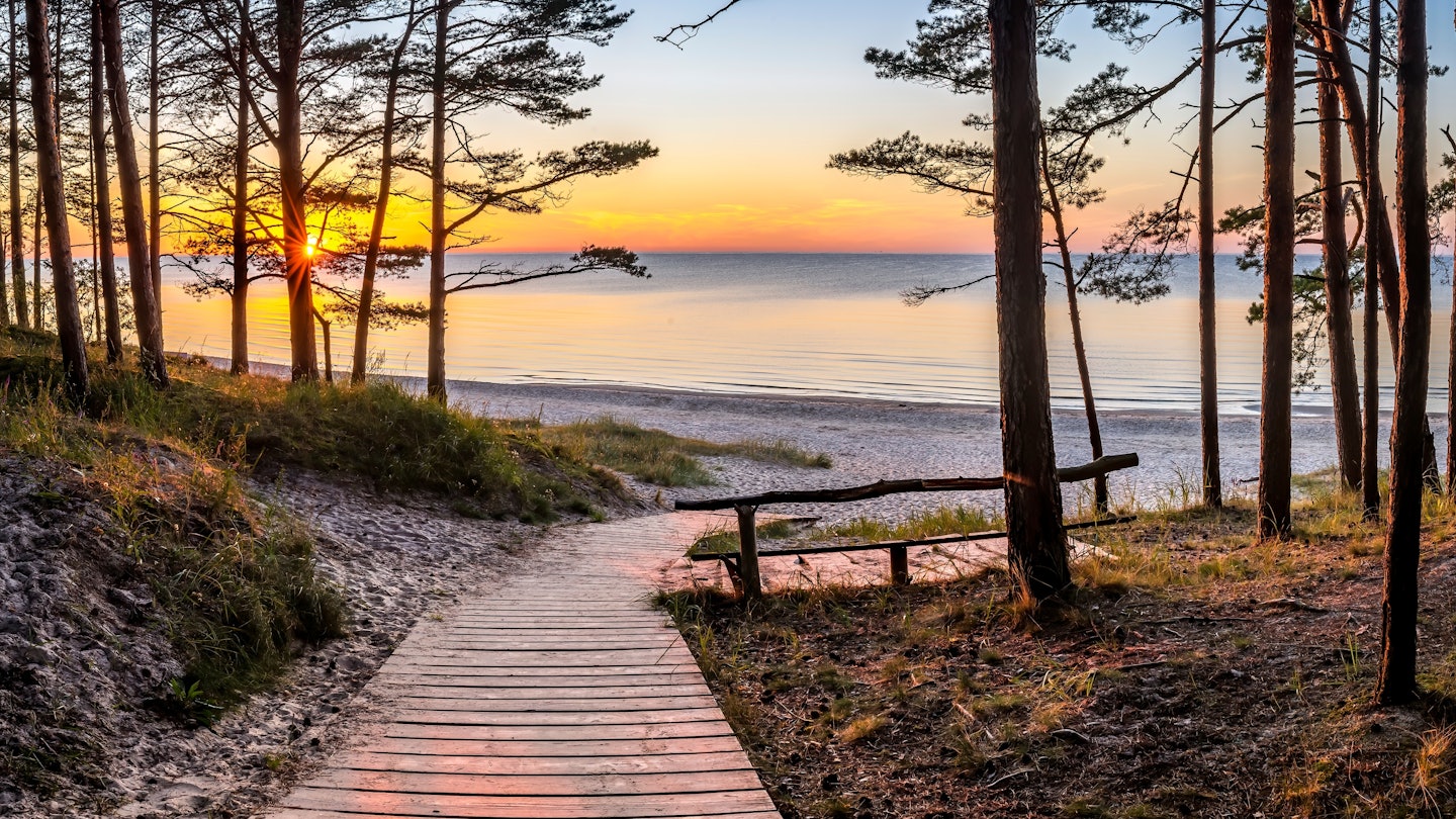 A boardwalk leading through pines to a beach at sunset in Jurmala, Latvia.