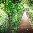 Monteverde Cloud Forest, Hanging bridge, Canopy Tour. Costa Rica  License Type: media  Download Time: 2021-12-14T16:08:46.000Z  User: FergalCo  Is Editorial: No  purchase_order:   