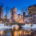 Gapstow bridge in Central Park during a winter evening.
176661923
park, bird, city, fall, pond, duck, snow, dusk, urban, night, light, garden, winter, sunset, plants, bridge, october, twilight, manhattan, cityscape, leaves, stone, reflection, fallen, gapstow, blue, new, central, york
